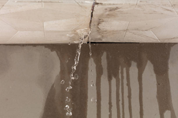 Professional Burst Pipe Cleanup technician working in Cherry Log, GA